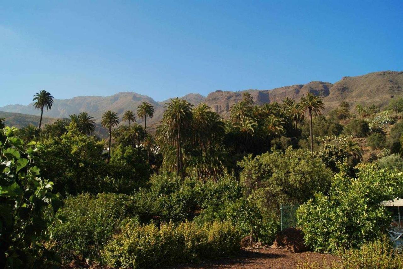 Casa Rural La Fuente De La Flora Santa Lucia De Tirajana Экстерьер фото